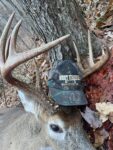 Aaron Johnson of Nitro, W.Va. shares a photo of the buck he killed while hunting during the 2021 season in Webster County, W.Va. 
