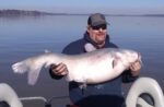 Captain Jack of the Hartford Outlaws catfishing team shows off a 65 pound catfish he caught.  He didn't share where it was from.  