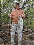 Tom Criner of Red House, W.Va. shares a pic of a nice hybrid striper caught from the Kanawha River. 
